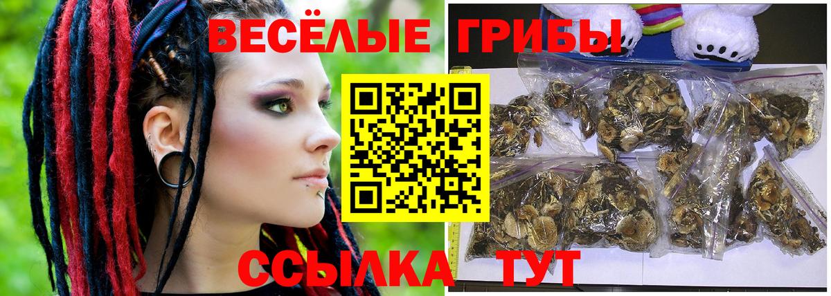 Дзержинск  Псилоцибиновые грибы Psilocybine cubensis  Вход с VPN  Галлюциногенные грибы Cubensis 