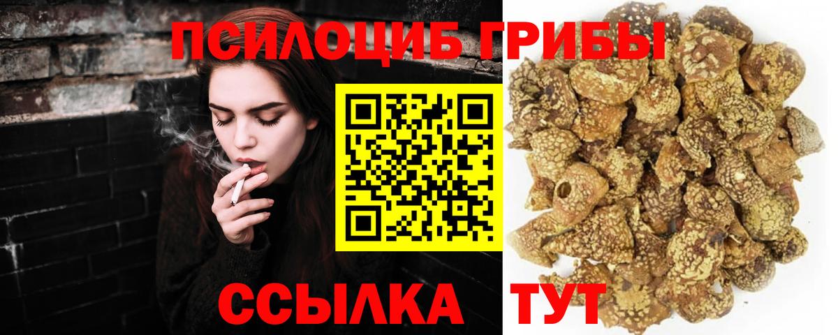 Псилоцибиновые грибы MAGIC MUSHROOMS Дзержинск
